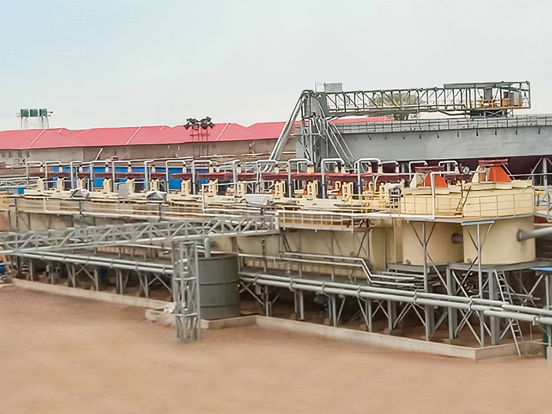 Zimbabwe Lepidolite 3000T/D Mineral Processing Project - Zhejiang Dingsen Holding Co, Ltd.